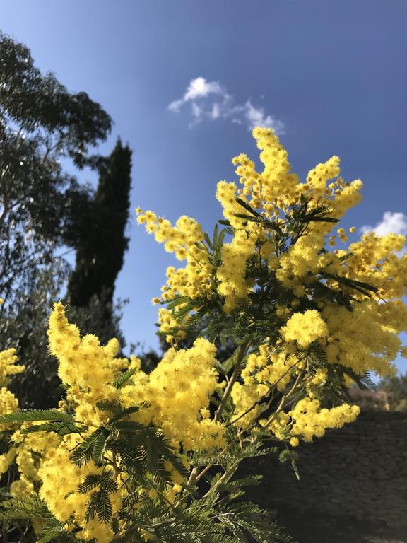 Mas Caipi La Cadiere D'Azur At My Luxury Home In Provence 外观 照片