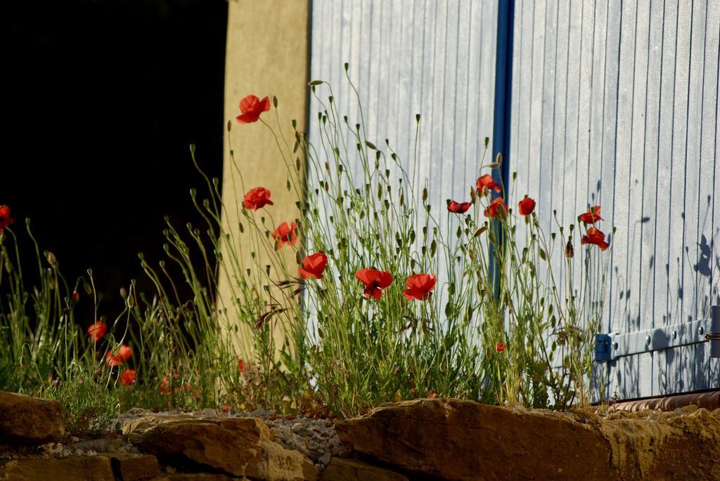 Mas Caipi La Cadiere D'Azur At My Luxury Home In Provence 外观 照片